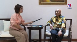 印尼学者高度评价阮富仲总书记提出“竹式外交”理念