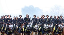 组图：全面打造专业化、现代化的越南特警骑兵队伍