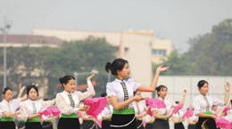 组图：奠边府大捷70周年：奠边省民间舞和街舞正式公演