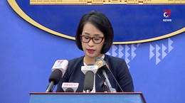 越南外交部举行例行新闻发布会  解答媒体记者的提问