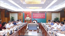 越共中央检查委员会第21次会议：对许多党组织和党员给予党纪处分