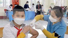 12月2日越南新增新冠肺炎确诊病例635例
