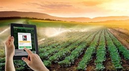 越南大力推进科技强农 力争实现农业可持续