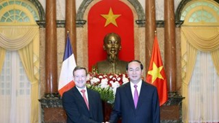 越南国家主席陈大光接受七国新任驻越大使递交国书