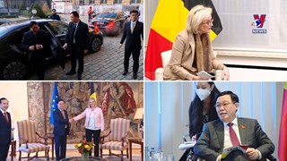 续写越南—比利时合作关系新篇章