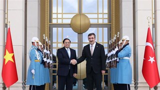 越南政府总理范明政同土耳其副总统福阿特•奥克塔伊举行会谈
