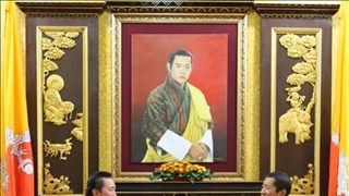 促进越南与不丹合作关系务实平稳发展