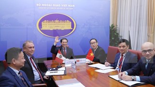  越南与秘鲁两国外交部第四次政治磋商以视频方式举行