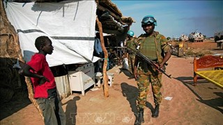 越南与联合国安理会：越南呼吁促进苏丹政治过渡进程