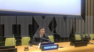 越南与联合国安理会：越南呼吁推动利比亚问题政治解决进程