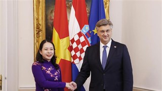 越南国家副主席武氏映春与克罗地亚总理安德烈·普连科维奇举行会谈