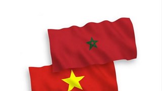 越南与摩洛哥推动金融银行领域的合作