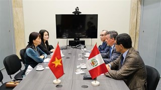 秘鲁总统高度评价越南与秘鲁的双边合作关系