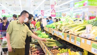 胡志明市成立食品安全局