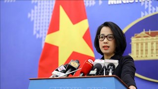 越南外交部发言人：得乐省发生的案件严格按照越南法律规定处理