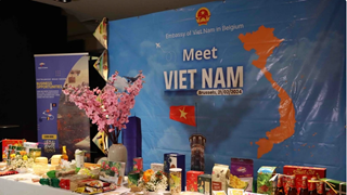 促进越南与比利时合作机遇