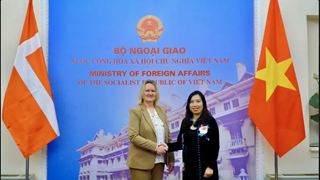 越南与丹麦外交部第二次政治磋商会议在河内举行
