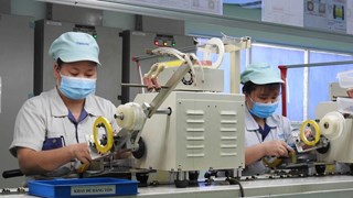 北宁省新成立企业数量增长25%