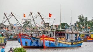 解除IUU黄牌：清化省坚决处理非法违规渔船
