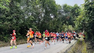 近2400名运动员参加2024年探索广平省马拉松赛