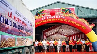 越南和平省对韩国出口7.5吨腌酸辣椒