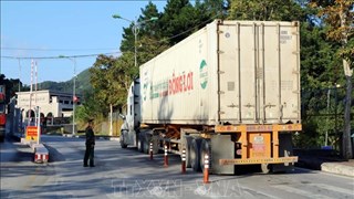 谅山省确保边境贸易活动稳定进行