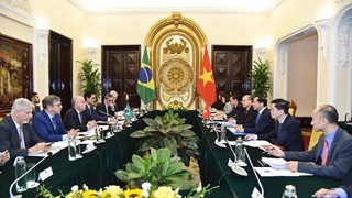 巩固和发展越南-巴西全面伙伴关系