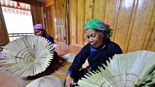 组图：越南岱依族致力保护棕榈叶帽手工编织业