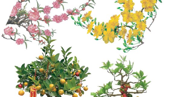 图表新闻：传统春节的代表性花木盆栽