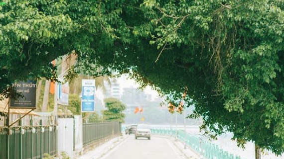 图表新闻：越南河内市西湖郡广安街入围2024年全球最酷街道榜
