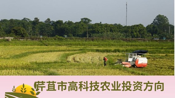 图表新闻：芹苴市高科技农业投资方向
