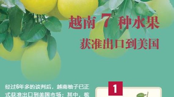 互动图表：越南7种水果 获准出口到美国