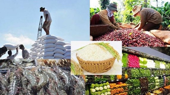 越南为农产品开拓韩国市场 