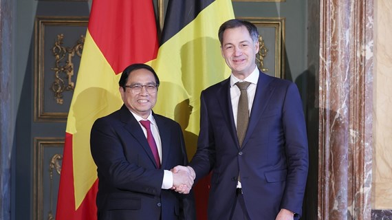越南与比利时传统友好关系不断得到巩固和发展