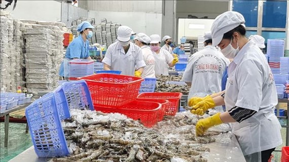 越南力争2023年虾类出口额达43亿美元