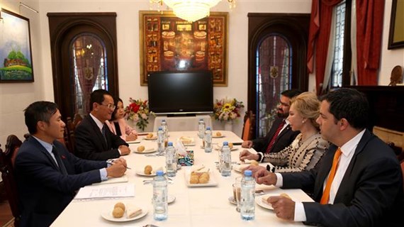 越南与巴拉圭加强文化领域合作