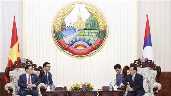 越南国会主席王廷惠会见老挝政府总理潘坎·维帕万
