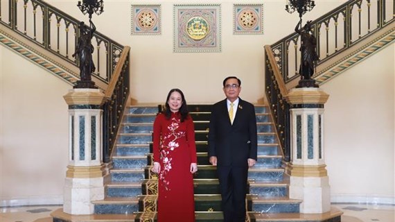 越南国家副主席武氏映春会见泰国总理巴育·占奥差