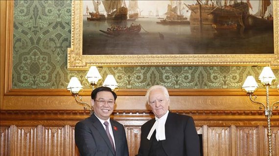 越南国会主席王廷惠与英国上议院议长约翰·麦克福尔举行会谈