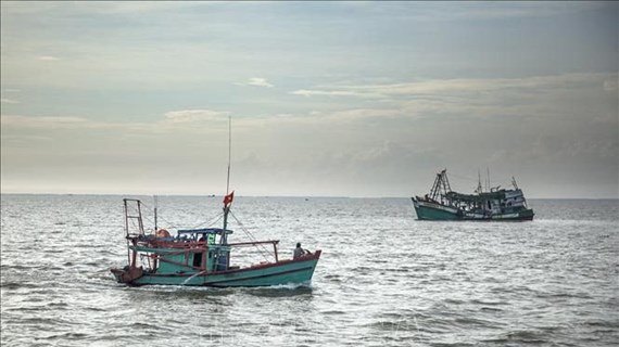外交部例行记者会：越南愿在打击非法捕捞中开展合作和分享经验
