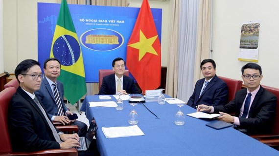 越南与巴西第八次外交部副部长级政治磋商在线召开