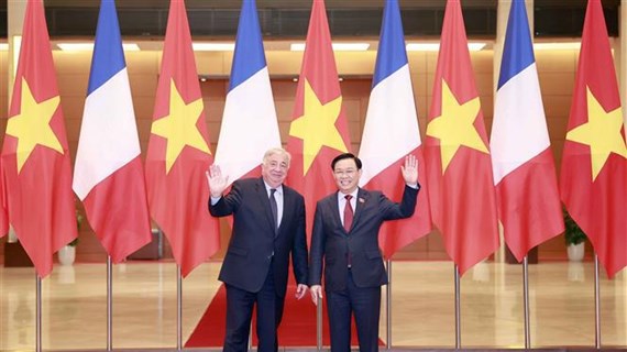 越南国会主席王廷惠与法国参议院议长热拉尔·拉尔歇举行会谈