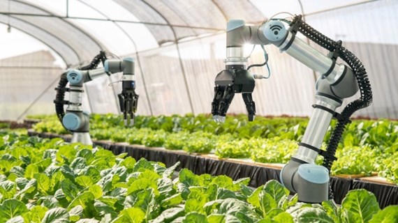 2030年科技与创新对农业增长的贡献率达50%以上
