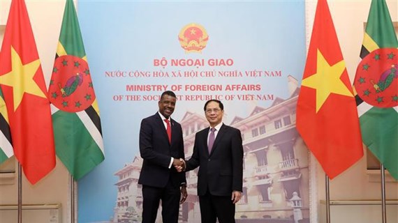 越南外交部部长裴青山与多米尼克外交、国际商务、贸易和能源部长文斯·亨德森举行会谈