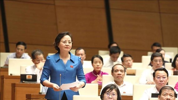 越南第十五届国会第五次会议新闻公报（第九号）