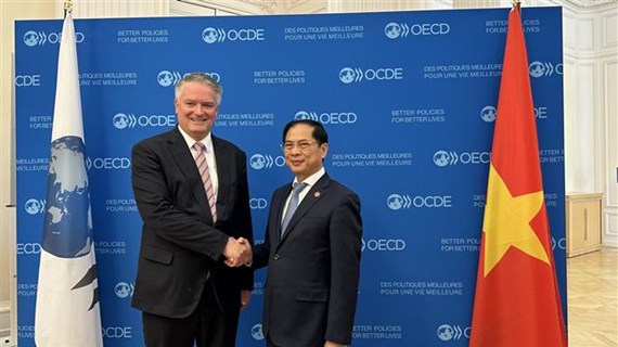 OECD愿为越南促进经济绿色和可持续发展提供支持