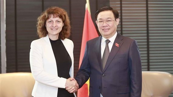 越南国会主席王廷惠会见保加利亚和丹麦知名企业高层
