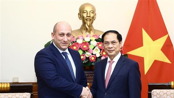 越南外交部长裴青山会见格鲁吉亚副外长赫夫季夏什维利