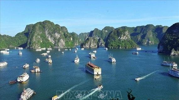 广宁省不允许游客乘坐观光游船观看2024年下龙狂欢节