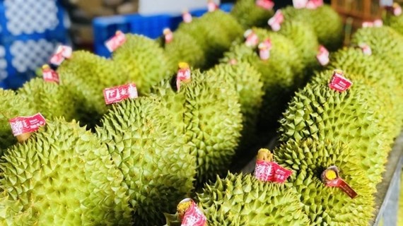 榴莲——越南出口额数十亿美元的商品之一